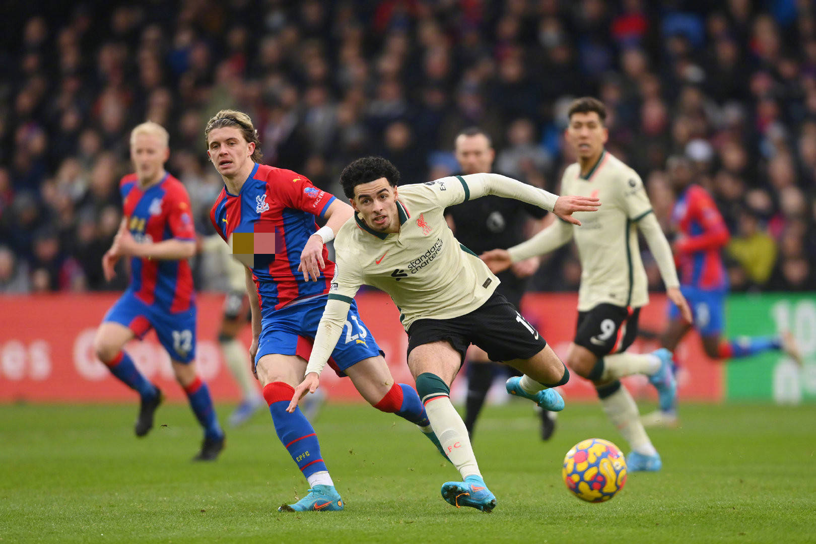 术的应用 术的应用